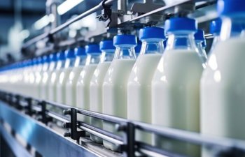 H&N müasir süd məhsullarının istehsalını 27%, ənənəvi süd məhsullarının istehsalını 14% artırıb