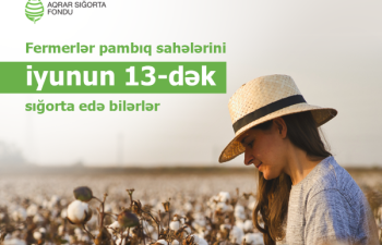 Pambıq sahələrinin sığortası iyunun 13-dək davam edəcək