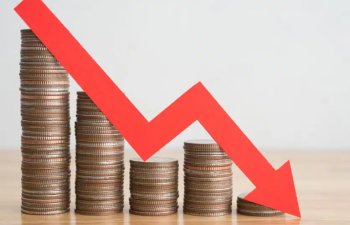 Qlobal birbaşa investisiyalar 2024-cü ildə 11% azalacaq