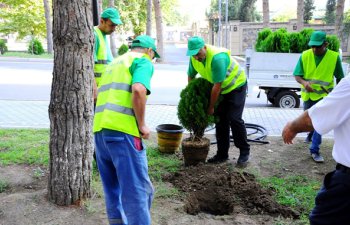TENDER: Abadlıq işləri