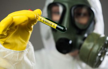 Çində yarasalarda insan üçün təhlükəli iki yeni virus aşkarlanıb