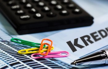AMB: Kredit portfeli və struktur