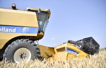 Taxıl biçini davam edir, sahələrdən 2 386 294 ton məhsul yığılıb