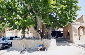 Ordubadda yeni yaşayış məntəqələri və müasir mənzillərin tikintisi nəzərdə tutulur