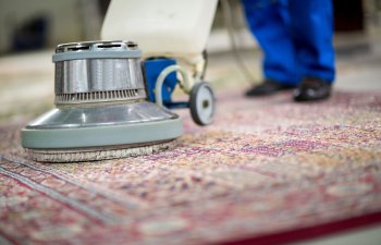 TENDER: Xalçaların yuyulması xidmətinin satınalınması
