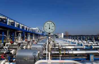 Enerji şirkəti Trafigura İngiltərədəki bioyanacaq zavodunu bağlaya bilər