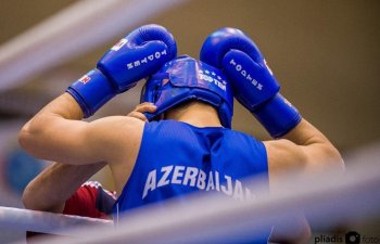 Azərbaycan məktəbli boksçuları Avropa birinciliyində rekord nəticə göstəriblər