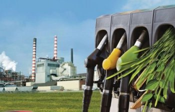 LG və Eni Koreyanın İlk Bioyanacaq Zavodunu tikəcək