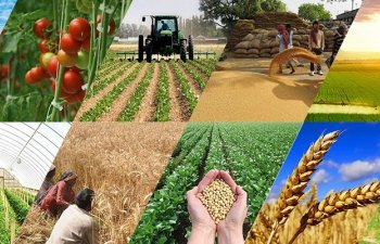 Regionlarda perspektivli biznes ideyaları və ilkin investisiya imkanları - CƏDVƏL