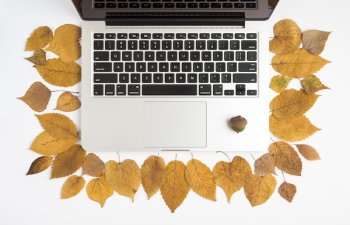 Bizneslər üçün payız marketinq strategiyaları