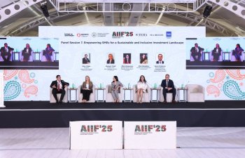 Kiçik və orta biznesin inkişafına həsr olunmuş panel sessiya keçirilib