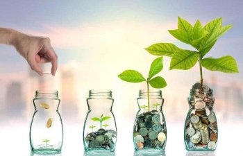 Azərbaycanda banklar “yaşıl layihələr” üçün 300 milyon manat kredit ayırıblar