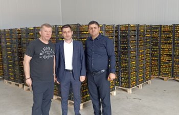“Azexport” portalı nar, xurma və sitrus məhsulları Belarusa ixrac edib