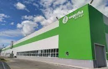 Segezha Group direktorlar şurasında dəyişikliklər planlaşdırır