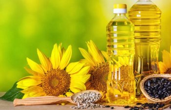 Rusiya hökuməti günəbaxan yağı və yem məhsullarının ixrac rüsumlarını 2028-ci ilə qədər uzatdı