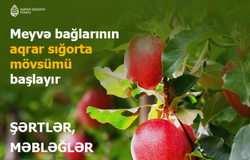 Azərbaycanda meyvə bağlarının aqrar sığortası mövsümü başlayır – ŞƏRTLƏR, MƏBLƏĞLƏR