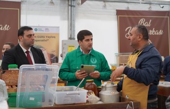 Yarmarkada iştirak edən arıçıların təlim ehtiyacları müəyyənləşib