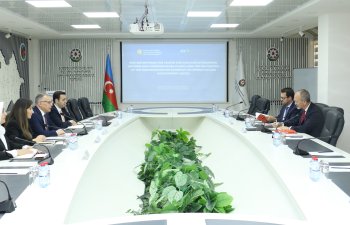 Vüsal Qasımlı OECD nümayəndələrini qəbul edib