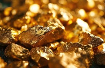 Solidcore satışlarını 28% yüksəltdi