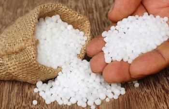 Azərbaycanın karbamid ixracı 46,5% artıb