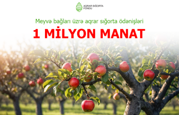 Meyvə bağları üzrə aqrar sığorta ödənişləri 1 milyon manata çatıb