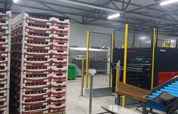 “Azexport” portalı yerli məhsulların Oman və Qətərə ixracını həyata keçirəcək