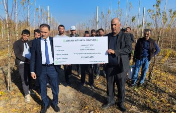 Azərbaycanda meyvə bağları üzrə ən böyük aqrar sığorta ödənişi edilib