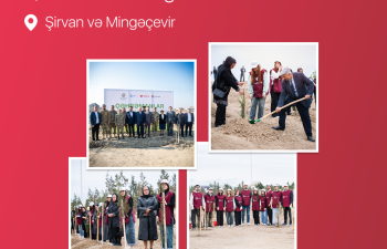 “Qəhrəmanlar bağı” layihəsi: Şəhidlərin xatirəsinə 543 ağac əkildi