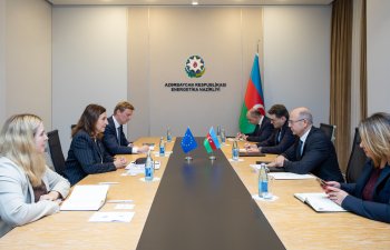 Energetika naziri Avropa İttifaqının Azərbaycandakı Nümayəndəliyinin rəhbəri ilə görüşüb