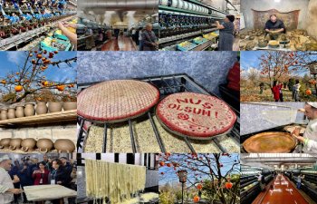 Şəkidə turizm infrastrukturu sürətlə inkişaf edir: Aqroturizm gəlirlərə töhfə verir