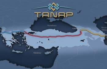 TANAP boru kəməri ilə nəql olunan qazın ümumi həcmi açıqlanıb