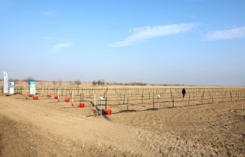 Naxçıvanda Innovativ Texnologiyalı Tingçilik Layihəsi İstifadəyə Verildi