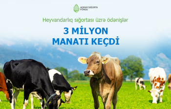 Azərbaycanda indiyədək heyvandarlıq sığortası üzrə 3,2 milyon manat ödəniş həyata keçirilib