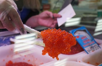 Qızılbalıq kürüsünün qanuni dövriyyəsi tam açıqlanıb