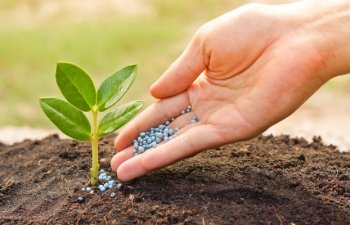 2026-cı ildən mineral və orqanomineral gübrələr ƏDV-dən azad olunacaq