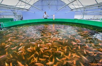 2026-cı ildən balıqçılıq sahəsi kənd təsərrüfatı vergi güzəştlərindən yararlanacaq