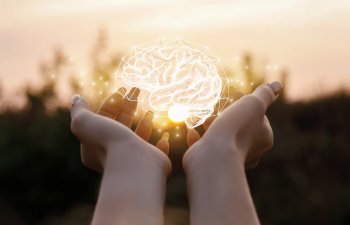 Dil öyrənmək beyin qocalmasını ləngidir