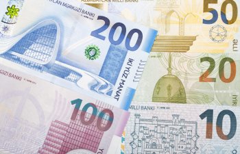 Manatın dövretmə sürəti azalıb