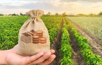 Azərbaycanda kənd təsərrüfatı sahəsi üzrə biznes kredit portfeli artıb