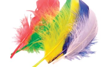 Rusiya Yaponiyaya quş tükü ixracını təxminən 3 dəfə artırıb