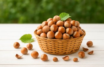 Azərbaycan 149,8 milyon dollar dəyərində meşə fındığı ixrac edib