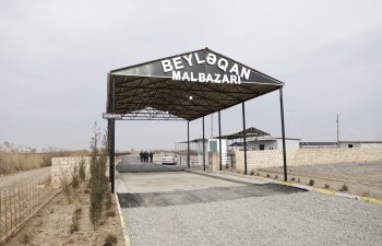 İmişli və Beyləqanda heyvan bazarları baytarlıq-sanitariya tələblərinə uyğun yenidən qurulub