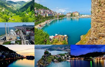 Dünyada fındıq istehsalının 73%-i Türkiyədədir: Bunun əsas mərkəzi Giresundur