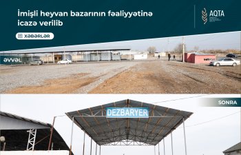İmişli heyvan bazarının fəaliyyətinə icazə verilib
