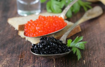 Kürü İstehsalı Artır