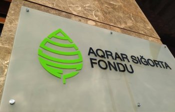 Aqrar Sığorta Fondu şaxtavurmaya görə 915 min manat zərər ödənişləri edib