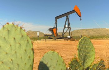 Neft qiymətləri sürətlə bahalaşır