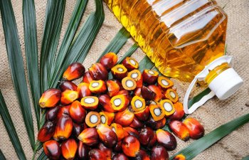 Ötən il Azərbaycana idxal edilən palma yağı 36% azalıb