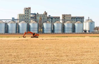 Yüksək əlavə dəyərli məhsullar Rusiyanın aqrar ixracını artırır
