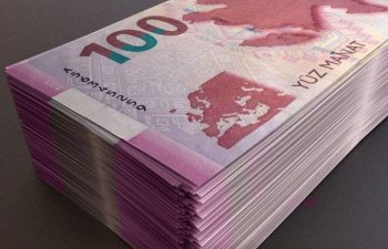 Dövlət zəmanətli borc: valyuta və müddət tərkibi açıqlanıb